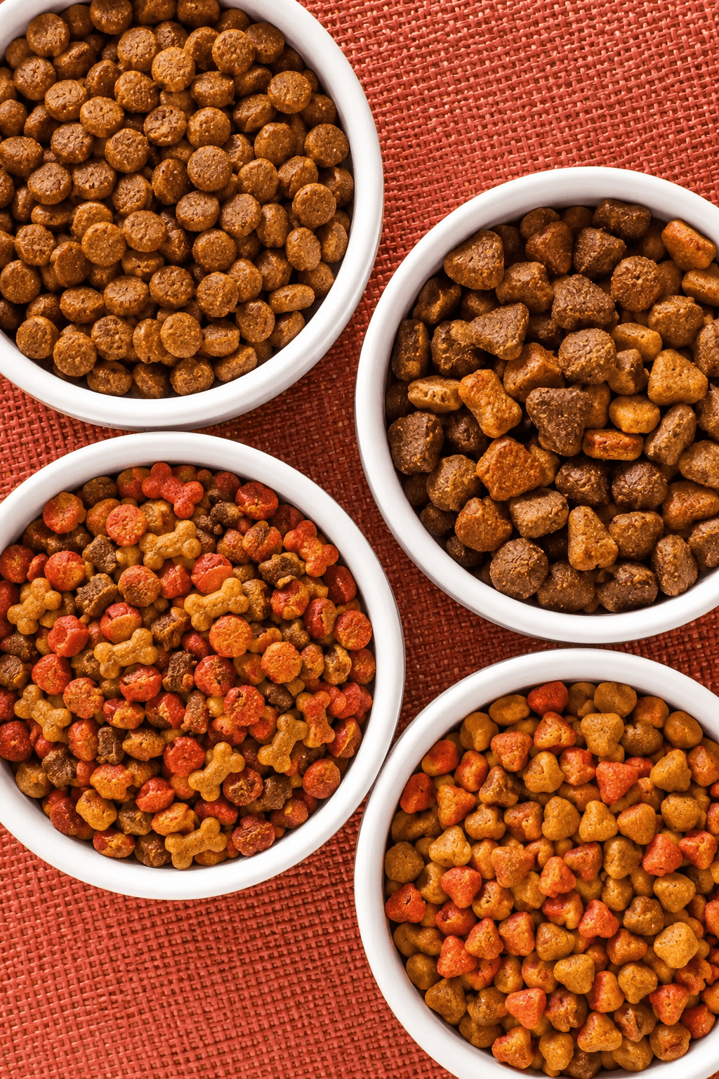 Article thumbnail for Pet Food Automation in Australia: Batch, Extrusion and Process Control